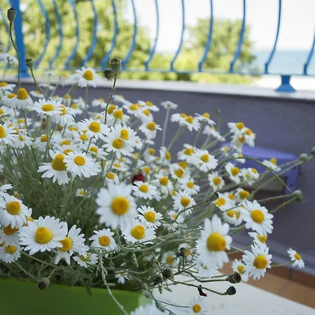 Apartament Garden *